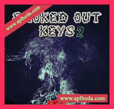 [嘻哈RnB采样]DJ 1Truth Smoked Out Keys 2 [WAV]（40Mb）