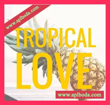 [Tropical House热带休闲舞曲素材]Out Of Your Shell Tropical Love Vol.1 [WAV, MiDi]（337Mb）