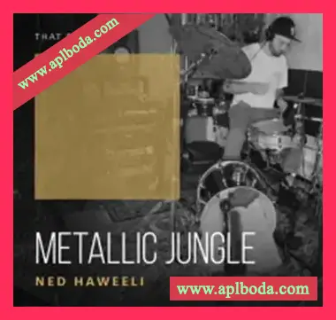 [鼓打贝斯Breaks采样]That Sound Metallic Jungle [WAV]（181Mb）