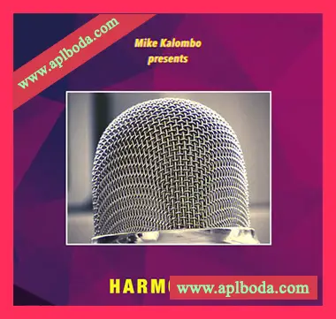[RnB采样]Mike Kalombo Harmonies [WAV]（15Mb）