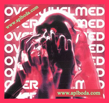 [合成器浪潮采样]Melodic Kings Overwhelmed [WAV]（48Mb）
