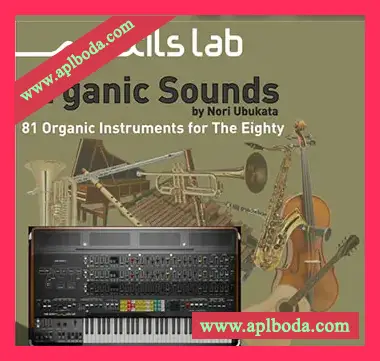 [The Eighty预置电子乐]XILS-lab Organic Sounds by Nori Ubukata（7.8Mb）