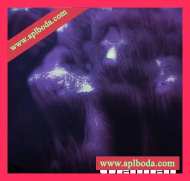 [深邃浩室采样]Arteria Velvet [WAV]（40Mb）