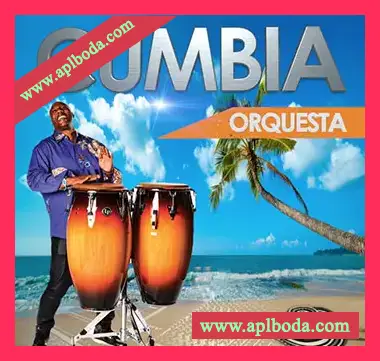 [拉丁节奏打击乐素材]Areito Producciones Caribe Cumbia Orquesta [多格式]（301Mb）