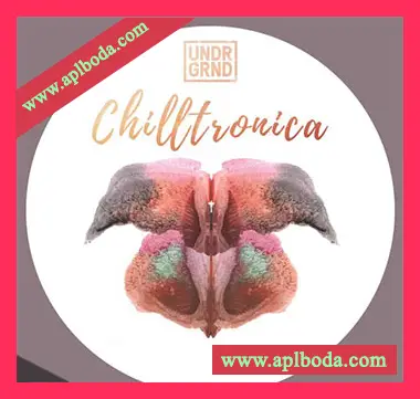 [流行氛围电子素材]UNDRGRND Sounds Chilltronica [多格式]（342Mb）