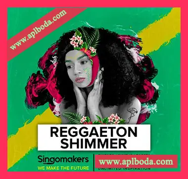 [拉丁雷击顿素材]Singomakers Reggaeton Shimmer [WAV, REX]（889Mb）