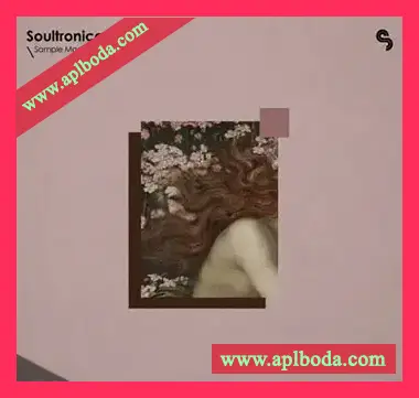 [灵魂氛围流行采样]Sample Magic Soultronica 2 [WAV]（424Mb）