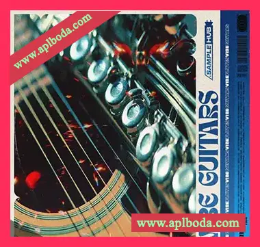 [嘻哈陷阱吉他采样]Sample Hub Vibe Guitars 2 [WAV]（84.09Mb）