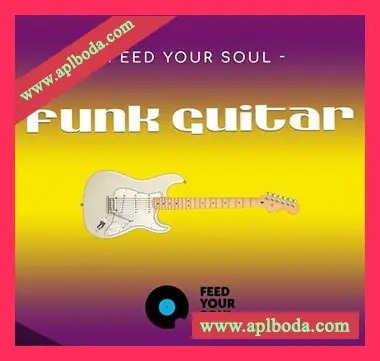 [Funk放克吉他采样]Feed Your Soul Music Feed Your Soul Funk Guitars [WAV]（170Mb）