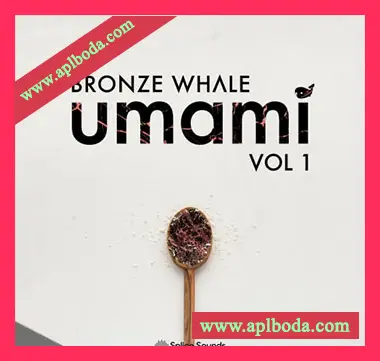 [FutureBass奇幻贝斯素材]Splice Sounds Bronze Whale Umami Sample Pack [WAV, MiDi]（297Mb）