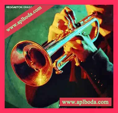 [拉丁雷击顿铜管采样]Touch Loops Reggaeton Brass [WAV]（91Mb）