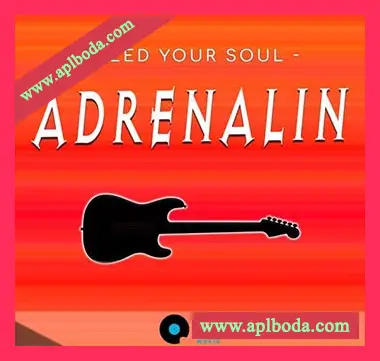 [金属摇滚电贝司吉他采样]Feed Your Soul Music Feed Your Soul Adrenalin [WAV]（105Mb）