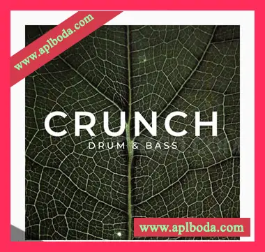 [DnB采样]Zenhiser Crunch Drum and Bass [WAV]（1.53Gb）