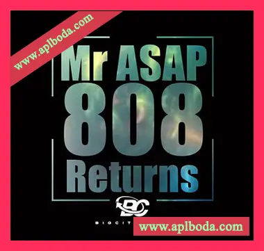 [嘻哈说唱808采样]Big Citi Loops Mr Asap 808 Returns [WAV]（226Mb）