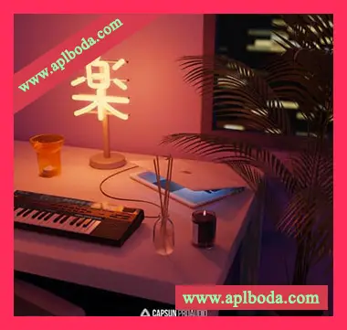 [低保真爵士嘻哈慢摇采样beatmaker预置]Capsun ProAudio Bedroom Beats and Lofi Hip-Hop Vol.3（709Mb）