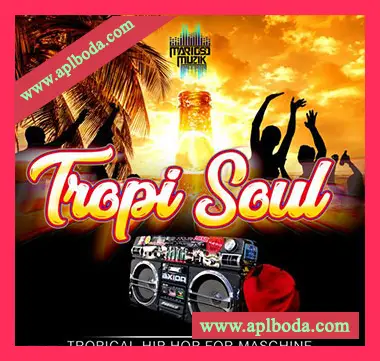 [嘻哈拉丁休闲舞曲采样]MarioSo Musik Tropi Soul (Tropical Hiphop For Maschine) [WAV]（5Mb）