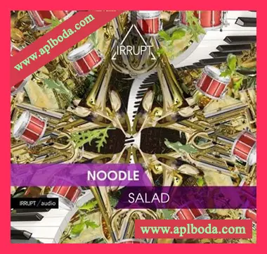 [爵士布鲁斯鼓组采样]Irrupt Noodle Salad [WAV]（354Mb）