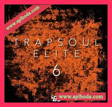 [嘻哈RnB采样]Big Citi Loops Trapsoul Elite 6 [WAV]（67Mb）