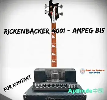 [深度模拟低音音源]PastToFutureReverbs Rickenbacker 4001 Bass Through Ampeg B15 Amp [KONTAKT]（705Mb）