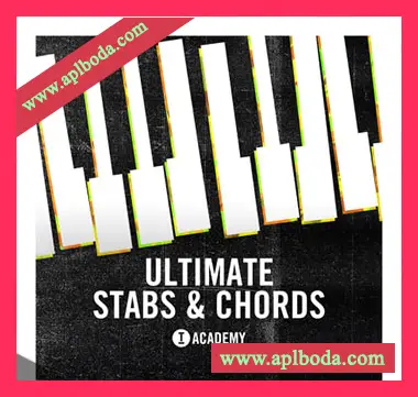 [科技浩室和弦Stabs采样]Toolroom Ultimate Stabs And Chords [WAV]（71Mb）