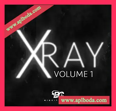 [嘻哈说唱采样]Big Citi Loops X-Ray Vol 1 [WAV]（274Mb）