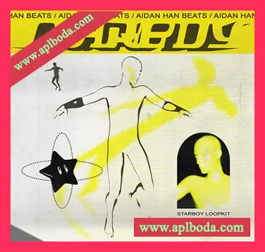 [氛围电吉他LOOP采样]Aidan Han starboy [electric guitar loop kit] [WAV]（256Mb）