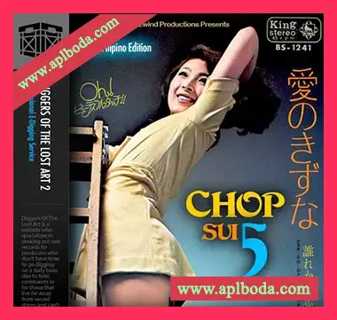 [怀旧乐采样]Boom Bap Labs Amen Chop Sui Vol 5 [WAV]（132Mb）
