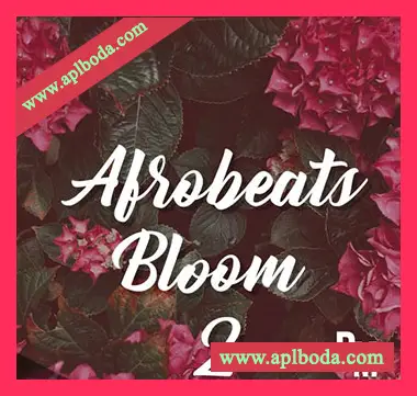 [非洲节奏采样]HOOKSHOW Afrobeats Bloom 2 [WAV]（56Mb）