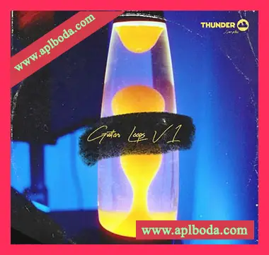 [灵魂RnB采样]Thunder Samples Thunder Loops Vol.1 [WAV]（44Mb）