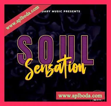 [灵魂嘻哈采样]Blissful Audio Soul Sensation [WAV]（36Mb）