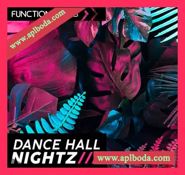 [流行Dancehall采样]Function Loops Dancehall Nightz [WAV]（98Mb）