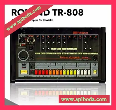 [TR-808磁带采样音源]PastToFutureReverbs Roland TR-808 Tape Samples [KONTAKT]（679Mb）
