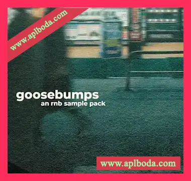 [灵魂RnB采样]Jazzfeezy Goosebumps Rnb (James Penley) [WAV]（408Mb）