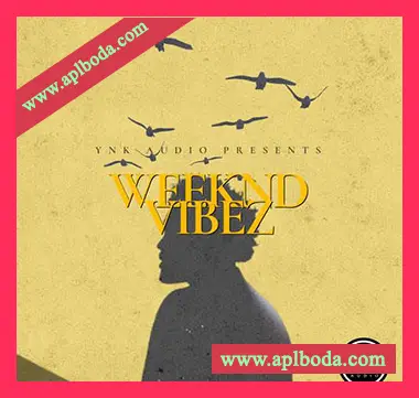 [Trap陷阱采样]YnK Audio Weeknd Vibez The Weeknd Type Loops [WAV]（48Mb）