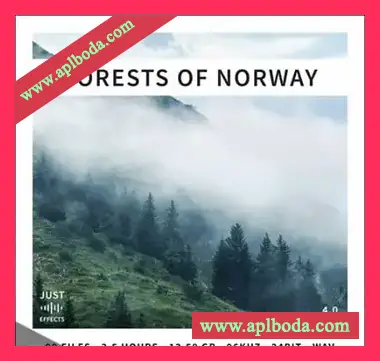 [挪威森林环绕声立体声采样]Just Sound Effects Forests of Norway Surround and Stereo [WAV]（13.44Gb）