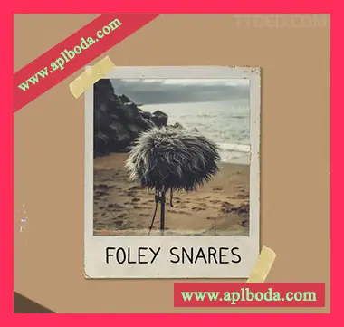 [军鼓采样]Clark Samples Foley Snares [WAV]（1Mb）