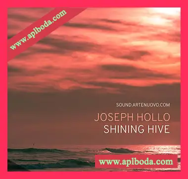[Hive预置氛围电子]Joseph Hollo Shining Hive（15Mb）