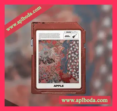 [嘻哈说唱吉他采样]WavSupply nico baran Apple (Guitar Loop Kit) [WAV]（1.04Gb）