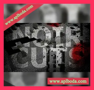 [Imaginando VS预置电子乐]Imaginando VS Noir Cuts by Fernando Kopp（1.20Gb）