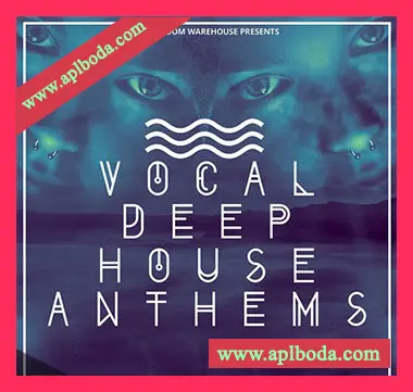 [深邃浩室人声素材Spire预置Avenger预置Serum预置]Mainroom Warehouse Vocal Deep House Anthems [多格式]（540Mb）