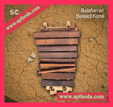 [巴拉丰民族乐器采样]Sonic Collective Balafon w Bassidi Koné [WAV]（345Mb）