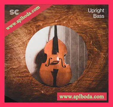 [爵士布鲁斯低音提琴竖贝斯采样]Sonic Collective Upright Bass [WAV]（796Mb）