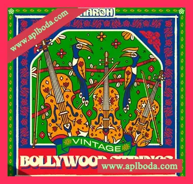 [怀旧影视宝莱坞弦乐采样]Aaroh Vintage Bollywood Strings [WAV]（267Mb）