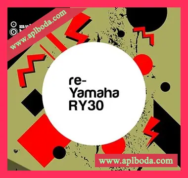 [嘻哈说唱采样Ableton扩展]Multiton Beats re-Yamaha RY30 [WAV, REX]（24Mb）