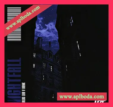 [Analog Lab V预置环境氛围]HZE Nightfall (Analog Lab V Bank)（55Mb）