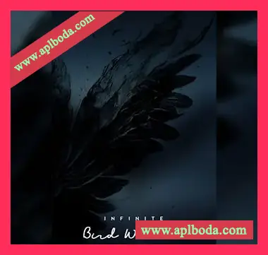 [氛围铺底音效环境音景音源]Emergence Audio Infinite Bird Whistle [KONTAKT]（1.08Gb）