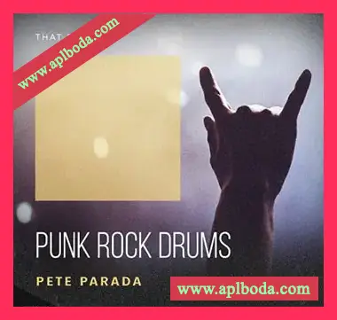 [摇滚鼓组采样]That Sound Punk Rock Drums [WAV]（490Mb）