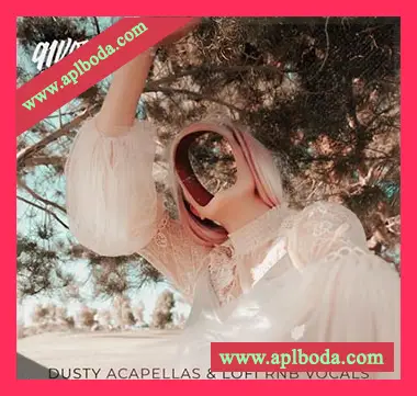 [低保真RnB人声采样]91Vocals Dusty Acapellas And Lo-Fi Rnb Vocals [WAV]（677Mb）