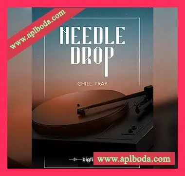[舒缓嘻哈陷阱素材]Big Fish Audio Needle Drop Chill Trap [多格式]（7.94Gb）
