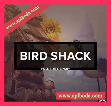 [浩室采样]Audiotent Bird Shack [WAV]（325Mb）